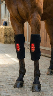 HorseHalo™ HaloLegs Mini