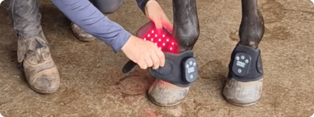 HorseHalo™ HaloLegs Mini